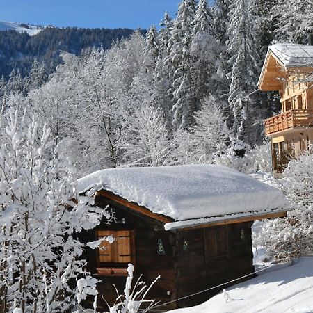 Chalet Les Soldanelles Villa Les Houches Kültér fotó